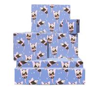 Girls Wrapping Paper - Fairy Possum - 6 Sheets Of Funny Gift Wrap For Her - Fairy Wrapping Paper Birthday Anniversary Hen Do - Recyclable - By Central 23