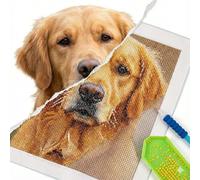 GIRLSIGHT Personalised Photo 5D DIY Diamond Embroidery Painting Private Custom Full Round Diamond Painting Customisable Diamond Painting Diamond Mosaic Drill (60X80CM)