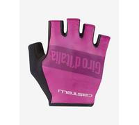 Giro d'Italia 2025 Gloves Violet - S