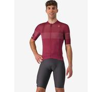 Giro d'Italia 2025 Trophy Bib Shorts Dark Grey - M