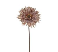 Gisela Graham Artificial Gerbera Flower, Antique Colours, 43cm tall (Antique Mauve)