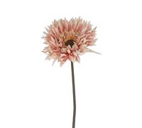 Gisela Graham Artificial Gerbera Flower, Antique Colours, 43cm tall (Blush Pink)