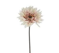 Gisela Graham Artificial Gerbera Flower, Blush White, Polyester, 43cm Tall
