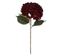 Gisela Graham Artificial Giant Hydrangea Stem, Dark Brown, Polyester, 83cm