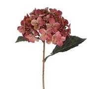 Gisela Graham Artificial Lacecap Hydrangea Stem, Blush Pink, Polyester, 52cm