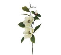 Gisela Graham Artificial Magnolia Flower Stem, Cream, 84cm, Polyester