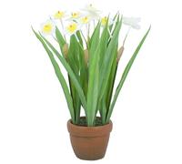 Gisela Graham Artificial Narcissus Plant in Terracotta Pot, 25cm, Yellow and White