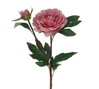 Gisela Graham Artificial Peony Stem, Dusky Pink, 57cm, Polyester