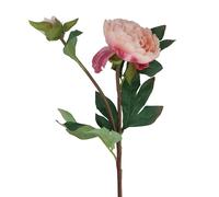 Gisela Graham Artificial Peony Stem, Pale Pink, 57cm, Polyester