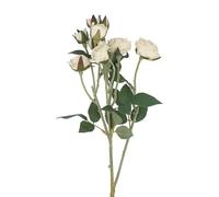 Gisela Graham Artificial Rosebud Stem, Antique Cream, 54cm, Polyester