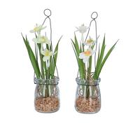 Gisela Graham Artificial Spring Narcissus in Glass Jar, Daffodil, 22cm, Set of 2