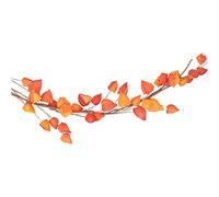 Gisela Graham Autumnal Physalis Garland Decoration