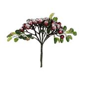 Gisela Graham Christmas Decoration - Pick 22cm - Frosted Red Berry Bunch/Leaves