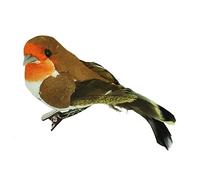 Gisela Graham : Christmas Decoration : Robin on a Clip - Hair Clip - 1 Count (Pack of 1) - Multicolor - Birds - Christmas - Children