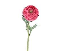Gisela Graham Dark Pink Artificial Ranunculus Stem