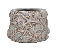 Gisela Graham Embossed Shells Stoneware Plant Pot Cover, Coastal Style, 16cm