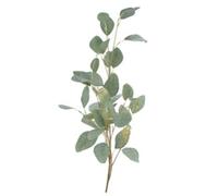 Gisela Graham Eucalyptus with Gold Glitter Artifical Spray