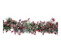 Gisela Graham Frosted Fir Garland with Rosehips