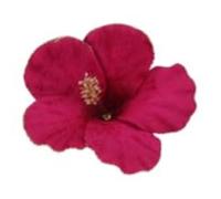 Gisela Graham Fuchsia Pink Fabric Lotus Flower Clip Decoration