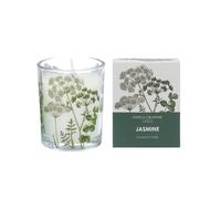 Gisela Graham Jasmine Scented Mini Candle, Boxed, Green Botanic Design, Glass, 6cm