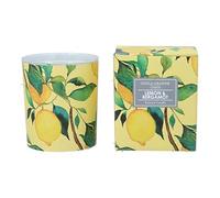 Gisela Graham Lemon Tree Scented Candle