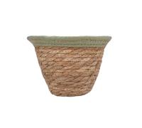 Gisela Graham Natural Woven Plant Pot with Coloured Rim (Green, Small)