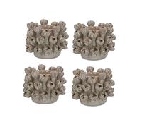 Gisela Graham Porcelain Seed Head Tea Light Holder, Taupe, Set of 4