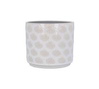 Gisela Graham Stoneware Plant Pot Cover, White Sea Shells, 12.5cm x 14cm