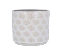 Gisela Graham Stoneware Plant Pot Cover, White Sea Shells, 15cm x 17cm