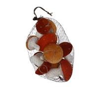 Gisela Graham Toadstool Autumnal Halloween Home Decorations