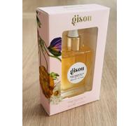 GIsou Style & Shine Duo