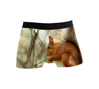 GISPOG Boxer Briefs Underwear Soft Underpants Stretch Breathable Squirrel Rodent Foraging