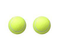 Gissroys Dog Interative Pet Dog Chew Fun Tennis For Teaser Toy For Puppy Dog Training Indoor Outdoor For Tennis Balls For Dogs Bulk