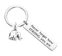 Gissroys Metal Elephant Keychain with Empowering Slogan Strength Wisdom Symbol Inspirational Desk Decoration Items Home Office Motivational Decoration, a, One Size