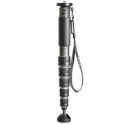 Gitzo GM4562 eXact Carbon Monopod Series 4