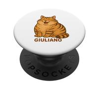 Giuliano the Oat Flake Cat I Don’t Get Angry PopSockets Adhesive PopGrip