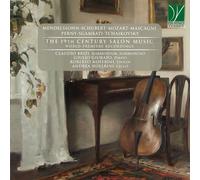 Brizi, Claudio - The 19th Century Salon..
