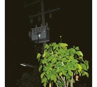 Giuseppe Ielasi – Down On Darkened Meetings – Vinyl – Victrola