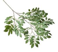 GIVBRO Artificial Elm Branches Leaves Bouquet Faux Fake Evergreen Plants Stems for Home Office Wedding Decor, 1pcs