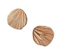 GIVBRO Vintage Shell-shaped Buttons Replacement Shirt Button Blazer Cufflinks Haberdashery DIY Accessories for Home Sewing, 18mm