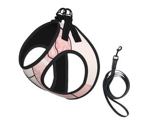 Give Cancer The Boot Breast Cancer Awareness No Pull Dog Harness and Leash Set, Cute Reflective Adjustable Vest for Small Dogs,Breathable Mesh Puppy Harness for Walking Hiking,Small