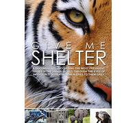 Give Me Shelter [DVD] [2014] [Region 1] [US Import] [NTSC]