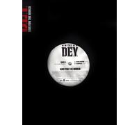 Give You the World [12" VINYL]
