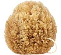 Givereldi Power Exfoliator Natural Sea Sponge - Strong, Durable, Unbleached, Pouf and Scrub with Rope - 100% Organic & Hypoallergenic - Adult Bath, Shower, Exfoliating, Art, Pets, Gift (Extra Large)