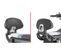 Givi TB, pillion backrest