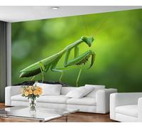 GIVLWF Wallpaper - Insect Green Home Decor & Mural, Self Adhesive Wallpaper for Living Room, Praying Mantis Wall Mural, Natural Animal Bedroom Wall Paper, Peel and Stick