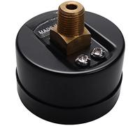 Giwnhvx 2X -40 1/8 Inch Mini Pressure Gauge for Fuel Air Oil Liquid Water 0-20Bar / 0-300 Psi