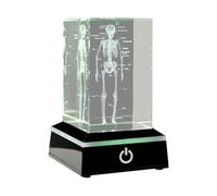 Giwnhvx 3D Engraved Human Skeletal Crystal Cube Figurines, Medical Science Gifts, Organ Anatomical Model Paperweight A