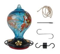 Giwnhvx Bird Feeder with 5 Perches Hand Blown Glass Bird Feeders for Outdoors Hanging 30 Fuild Oz,D