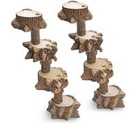 Giwnhvx Bird Platform Playground for Parakeet, Cage Natural Wood Play Stand Parrot Flat Perches, Birdcage Ladder Climbing Toy